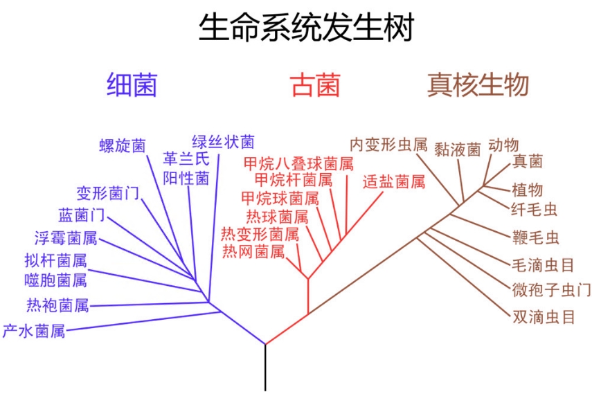 fashengshu.jpg