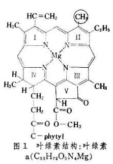 yelvsufenzi.png
