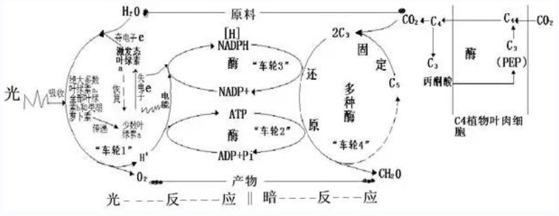 guangfanyinganfanying.jpg